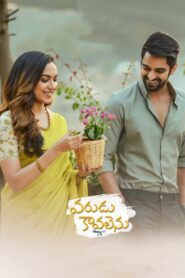 Varudu Kaavalenu – Life Partner (2021) Bengali Bongo WEB-DL 1080p 720p 480p x264 AAC ESubs