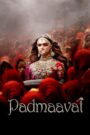 Padmaavat (2018) Bluray Hindi 1080p 720p 480p x265 DDP5.1 HEVC AAC ESubs