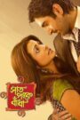 Saat Pake Bandha (2009) Bengali WEB-DL 1080p 720p 480p x264 AAC ESubs