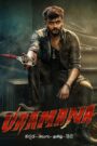 Vaamana (2025) AMZN WEB-DL [Hindi Dubbed + Kannaada] 4K 2160p1080p 720p 480p x265 DDP5.1 HEVC AAC ESubs