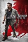 Jaat (2025) Hindi WEB-DL 4K 2160p 1080p 720p 480p DDP5.1 x265 HEVC