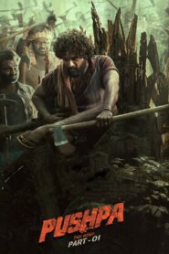 Pushpa – The Rise (2021) Hindi DS4K AMZN WEB-DL 4K 2160p 1080p 720p 480p DDP5.1 x265 HEVC AAC ESubs