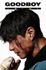 GOOD BOY (2025) [Hindi+English+Korean] AMZN WEB-DL 1080p 720p 480p DDP2.0 x265 HEVC AAC ESubs