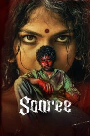 Saaree (2025) [Hindi+Multi] AMZN WEB-DL 1080p 720p DDP2.0 x265 HEVC AAC ESubs