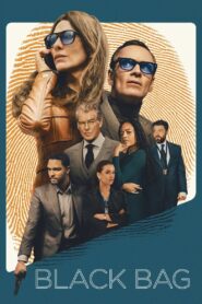 Black Bag (2025) BluRay [Hindi (DDP5.1~640Kbps] + English] 4K 2160p 1080p 720p x265 HEVC REMUX HDR10 AAC ESubs