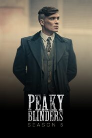 Peaky Blinders (2013) Season 05 Bluray [Hindi (DDP2.0) + English] 4K 2160p 1080p 720p 480p x265 HEVC DoVi HDR AAC ESubs