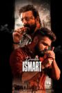 Double iSmart (2024) Hindi AMZN WEB-DL 1080p 720p 480p DDP2.0 x265 HEVC AAC ESubs