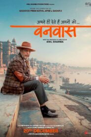Vanvaas (2024) Hindi Zee5 WEB-DL 4K 2160p 1080p 720p DDP5.1 x265 HEVC AAC ESubs