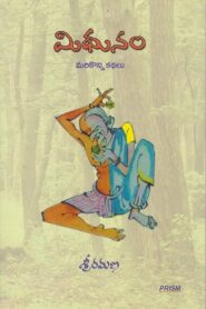 Mithunam (2012) Telugu SUNNXT WEB-DL 1080p 720p 480p DDP5.1 x265 HEVC AAC ESubs