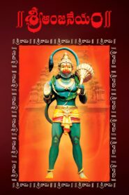 Sri Anjaneyam (2004) Telugu JC WEB-DL 1080p 720p 576p 480p DDP5.1 x265 HEVC AAC ESubs