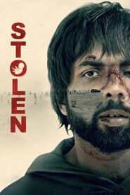 Stolen (2025) Hindi AMZN WEB-DL 4K 2160p 1080p 720p 480p DDP5.1 x265 HEVC AAC ESubs