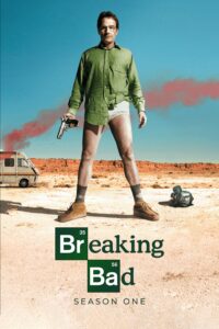 Breaking Bad (2008) S01 [Hindi(DD2.0)+English] Bluray 1080p 720p x265 10bit HEVC AAC ESubs