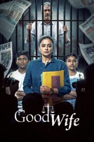 Good Wife (2025) S01 [Hindi+Multi] DS4K JHS WEB-DL 4K UHD 2160p 1080p 720p DDP5.1 x265 HEVC DV HDR AAC ESubs