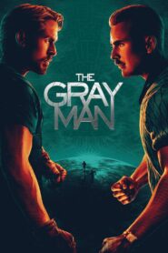 The Gray Man (2022) [Hindi+English] NF WEB-DL 4K UHD 2160p 1080p 720p DDP5.1~640Kbps x265 HEVC DoVi AAC ESubs