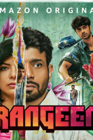 Rangeen (2025) S01 [Hindi(DDP5.1)+Multi] AMZN WEB-DL 4K UHD 2160p 1080p 720p x265 HEVC HDR AAC ESubs