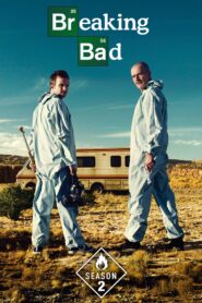 Breaking Bad (2008) S02 [Hindi(DD2.0)+English] Bluray 1080p 720p 480p x265 10bit HEVC AAC ESubs