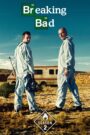 Breaking Bad (2008) S02 [Hindi(DD2.0)+English] Bluray 1080p 720p 480p x265 10bit HEVC AAC ESubs