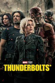 Thunderbolts* (2025) [Hindi(Line)+English(DDP5.1)] DS4K AMZN/IT WEB-DL 4K 2160p 1080p 720p 480p x265 SDR HEVC AAC ESubs