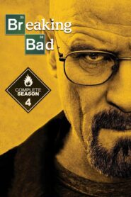 Breaking Bad (2011) S04 [Hindi(DD2.0)+English] Bluray 1080p 720p 480p x265 10bit HEVC AAC ESubs