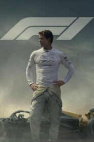 F1 (2025) [Hindi(DDP5.1)+Multi] AMZN WEB-DL 4K UHD 2160p 1080p 720p x265 10bit HEVC DV HDR AAC ESubs