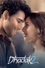 Dhadak 2 (2025) HQ-HDTC [Hindi (ORG-DD2.0)] 1080p 720p & 480p x264 AAC